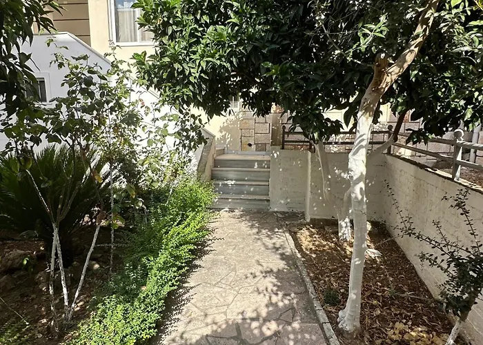 Pandora Daire Saranda